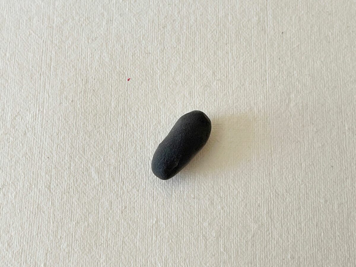 A black pebble sitting on a white surface.
