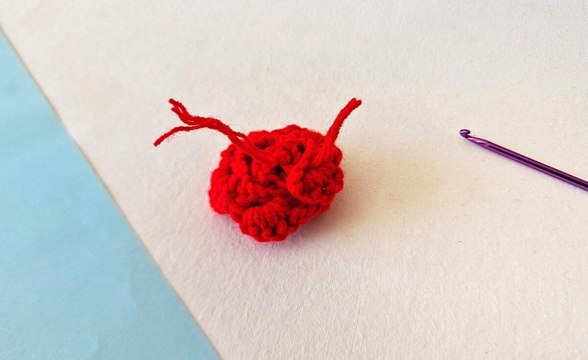 Crochet Rose Step 20