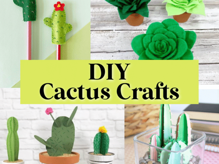 A collage showcasing various creative cactus crafts, including cactus pens, potted felt cacti, a fabric cactus in a glass container, and another in a patterned pot, with the text 