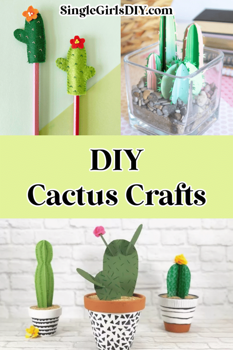 Discover a charming collection of DIY cactus crafts at SingleGirlsDIY.com, featuring two stylish cactus pens, a vibrant green cactus plant in a glass container, and three creatively potted cacti made from various materials. Dive into the world of DIY Cactus Crafts today!