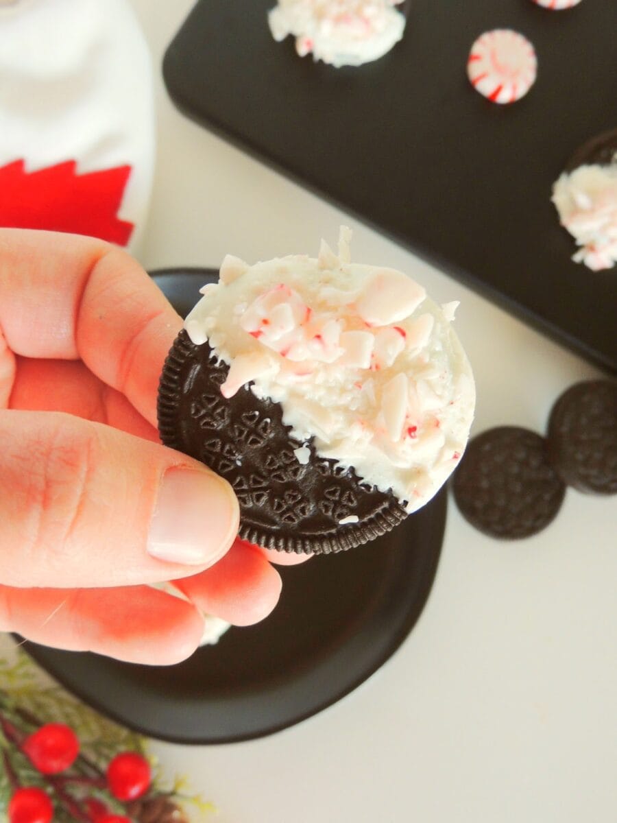 A hand holds an Oreo cookie dipped in white chocolate and topped with crushed peppermint, with more cookies and a tray in the background.