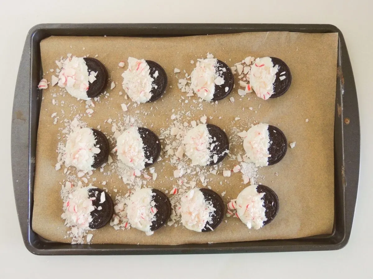 A baking sheet with 12 chocolate cookies topped with white frosting and crushed candy canes, on parchment paper.