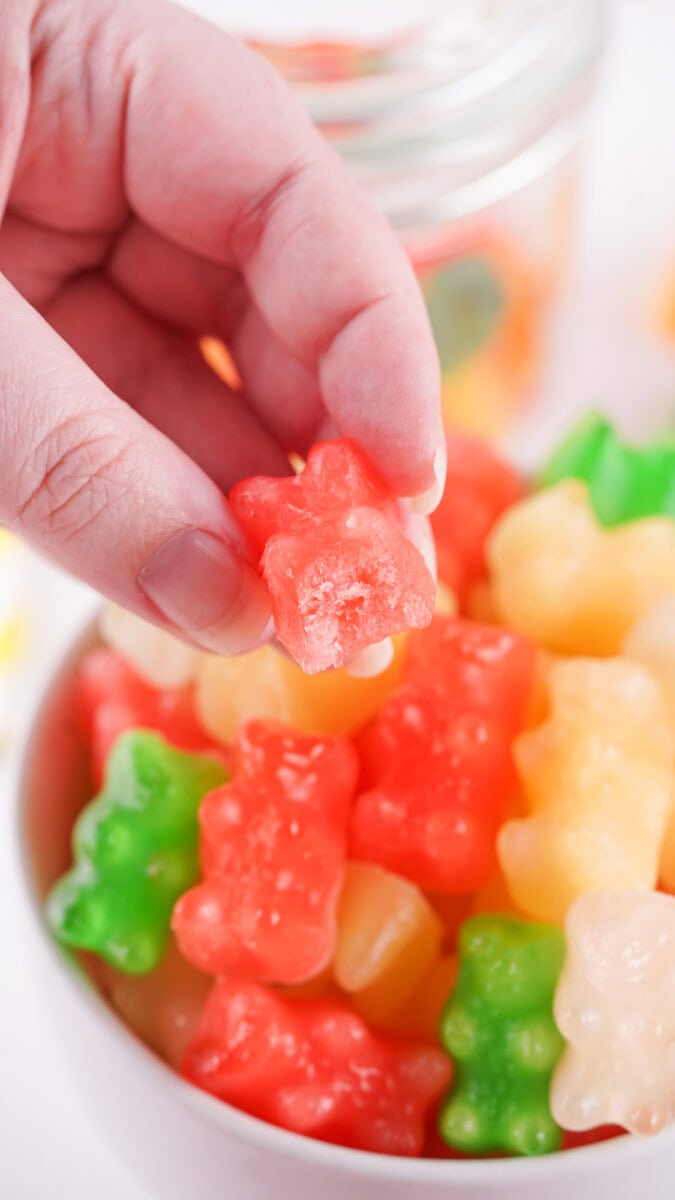 A hand holding a red gummy bear candy above a bowl filled with assorted colored gummy bears.