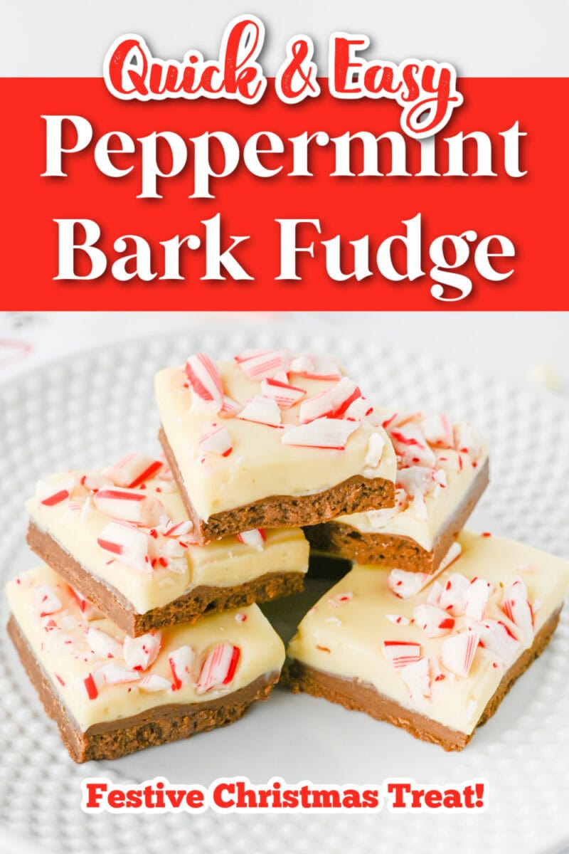 A plate brimming with peppermint bark fudge delights, each piece topped with crushed candy canes.