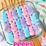 A glass dish with layers of blue, pink, and purple marshmallow bunnies on chocolate, labeled "Peeps S'mores Dip." Crackers are placed nearby on a wooden board.