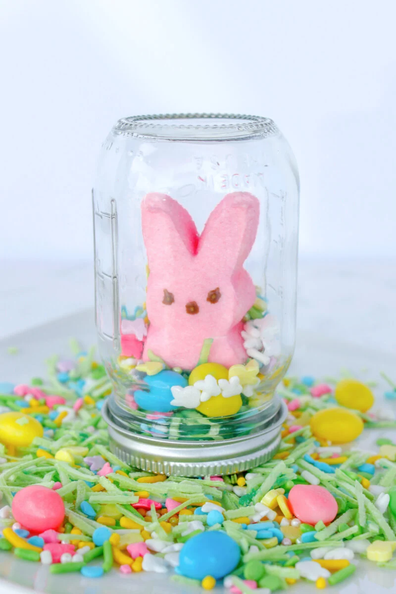 A pink bunny-shaped marshmallow is enclosed in an upside-down glass jar, surrounded by colorful sprinkles and candy on a white plate.