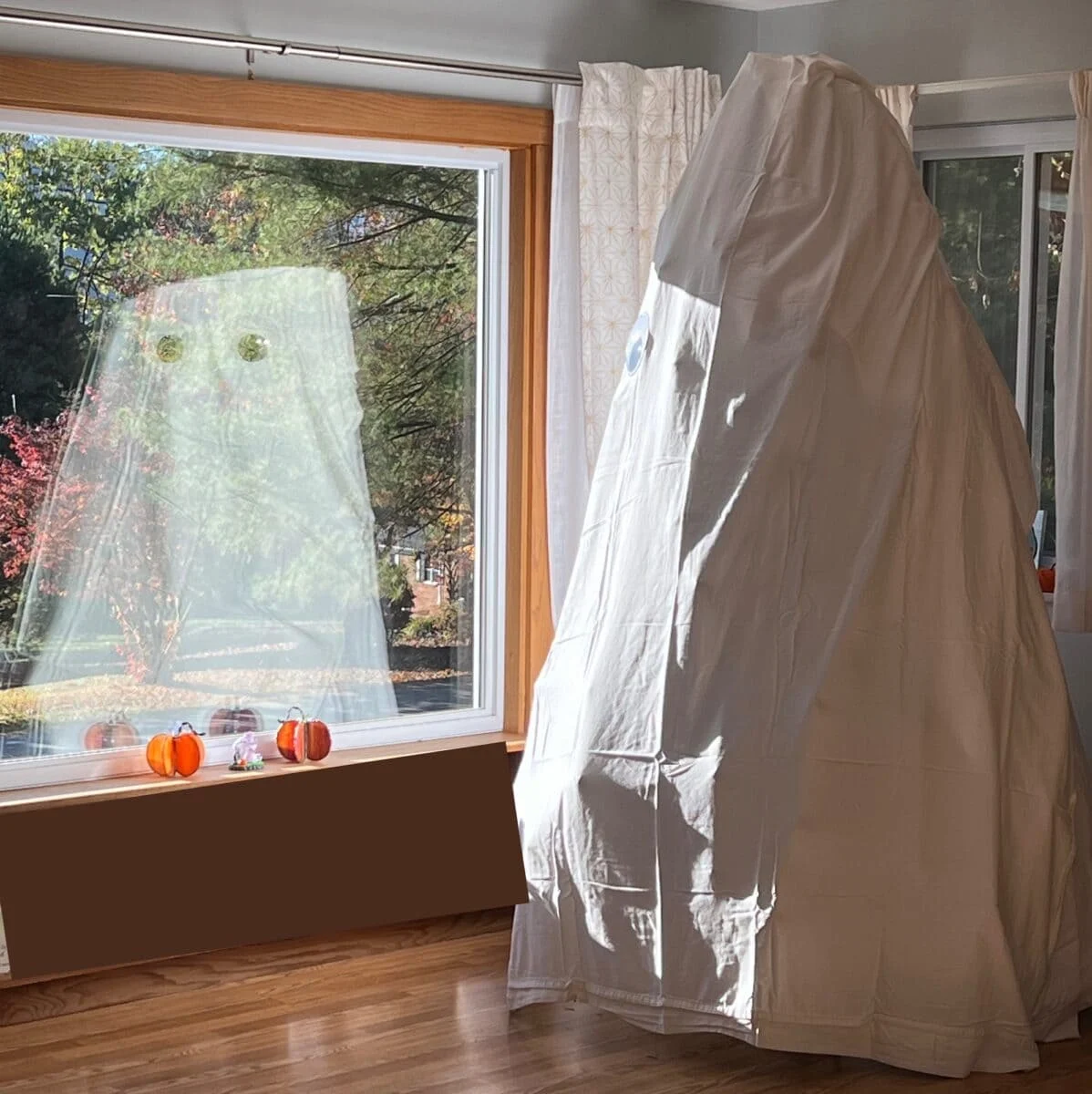 A large sheet draped to resemble a ghost stands by a sunny window with a ghost reflection. Decorative pumpkins sit on the window ledge.