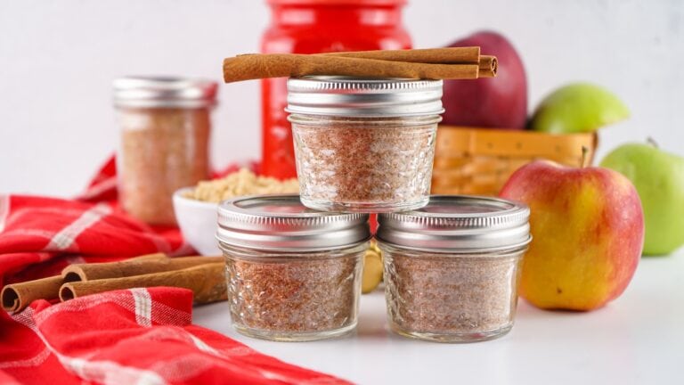Instant Apple Cider Mix Recipe Perfect for Autumn!